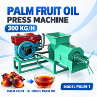 Industriële palmoliepersmachine 300KG/H schroefpers voor de extractie van ruwe palmolie