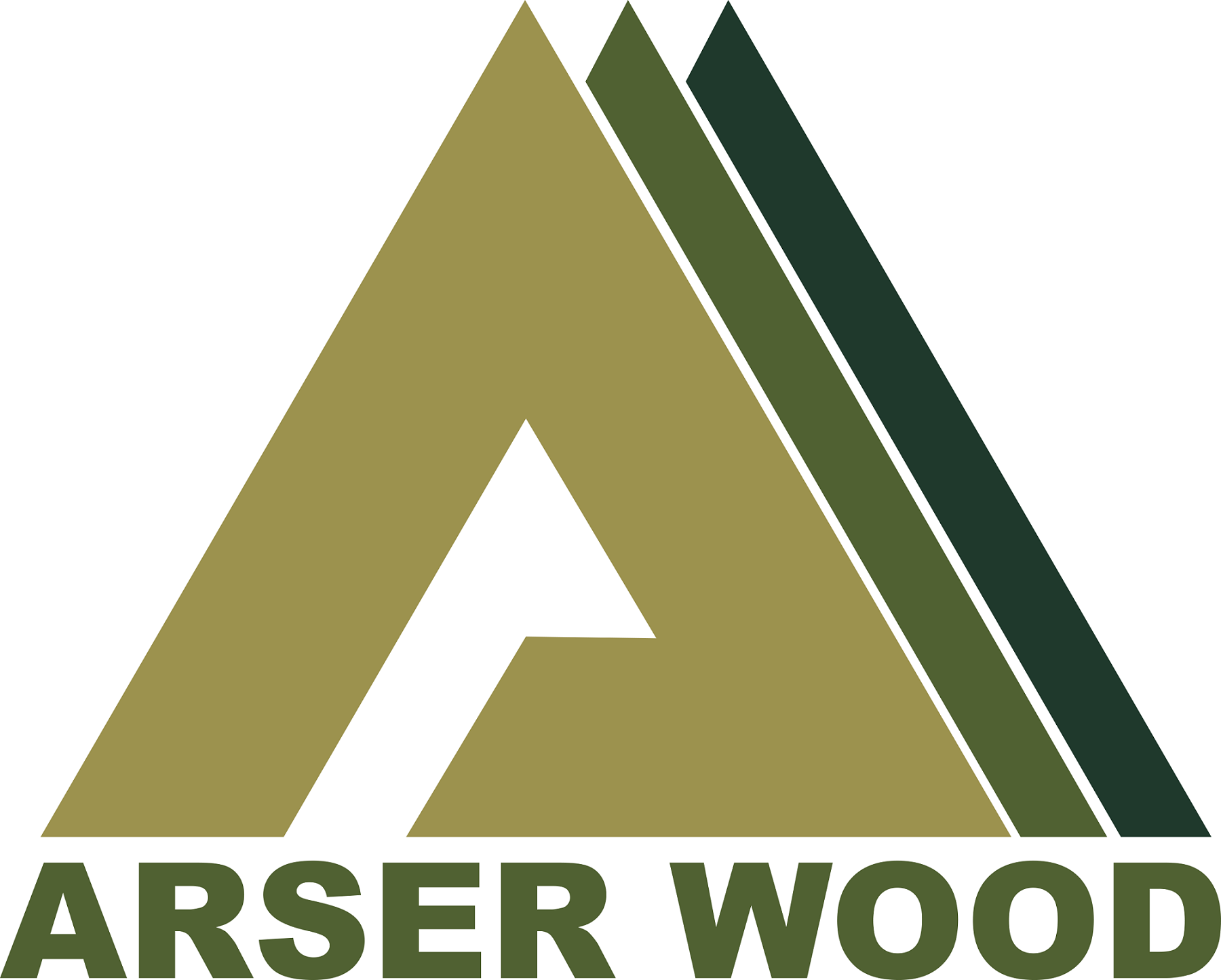 JIANGSU HIGH HOPE ARSER CO., LTD. logo