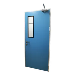 GMP标准自动关闭彩色镀锌钢板摆动洁净室门，带液压闭门器