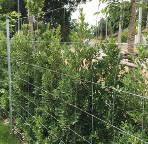Clôture de ferme de haute qualité pour la protection du bétail, utilisation en extérieur - Product Image 6