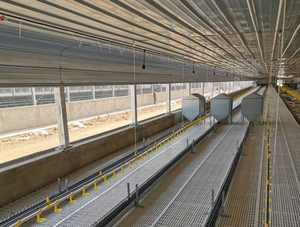 Fermes avicoles préfabriquées Hangar pour poulets Canard Cochon Vache Volaille Hangar pour porcs personnalisé Conception de bâtiment de ferme Semie Cheval Ferme Maison Écurie - Product Image 3