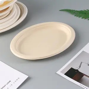 Disposable Bagasse Food Tray Biodegradable Lunch Boat Biodegradable Sugarcane Tray Plate For Salad Sushi Camping