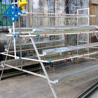Équipement d'élevage avicole pour poules pondeuses, cage à poules de 70 places, grillage, poulailler à enclos libre, prix d'usine, soudure