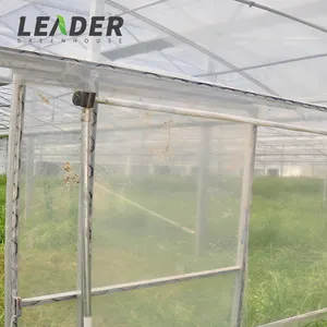 Film Ventilasi Samping Multi Rentang Pertanian, Tenda Rumah Kaca Stroberi Pembengkokan Pipa Penutup