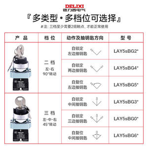 Interrupteur à bouton rotatif autobloquant en métal Delixi LAY5-BG25 BG21, deux positions, trois positions, verrouillage, max 220V, certifié CQC - Product Image 1