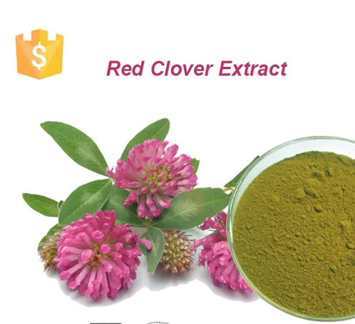 Supply High Quality Red Clover Leaf powder Free Sample Best Price red clover extract powder For Sale