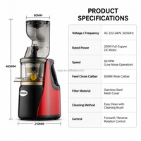 Extracteur de jus lent domestique avec goulotte d'alimentation large de 80 mm, moteur DC 250 W, rendement élevé de 75 % en jus, nettoyage facile, couvercle en maille d'acier inoxydable