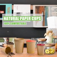APP Biodegradable Eco-Friendly Paper Cups Multiple Ounce Sizes Single Wall Kraft Paper Global Bulk Wholesale Available for
