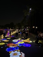 Système de projection holographique 3D extérieur 4K Lumens pour cartographie architecturale de bâtiments, solution de spectacle nocturne pour façades de châteaux et monuments