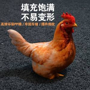 Realistic Chicken Plush <b>Pillow</b> <b>Large</b> Size Soft Stuffed Animal For Kids Bedroom Decor Birthday Gift - Product Image 3
