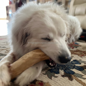 สัตว์เลี้ยงจำหน่ายของเล่นเคี้ยวไม้กาแฟเพื่อสุขภาพรองรับการทำความสะอาดฟันของเล่นเพื่อลดความเบื่อของเล่นสุนัขผลิตในเวียดนาม ODM ราคาถูก - Product Image 1