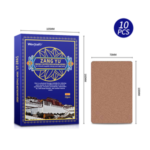 왕테일른 장유 진통 패치 - 근육 및 허리 통증 완화를 위한 원적외선 자기 요법이 포함된 천연 티베트 허브 포뮬러 - Product Image 2