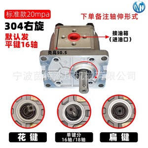 Pompe hydraulique à engrenages Ningbo Int CBN-F310 350 bars, 1 étage, corps en alliage d'aluminium, engrenages en fonte, 2 CV, pompe hydraulique rotative - Product Image 4