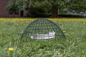Esschert Design Cage de protection pour oiseaux protège les oiseaux des prédateurs et des chats lorsqu'ils mangent des aliments - Product Image 2
