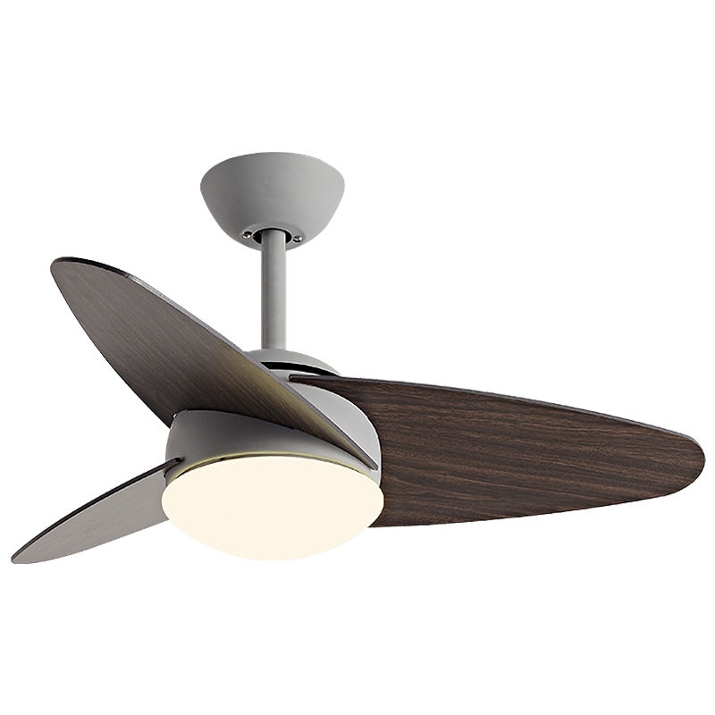 สีเทา + วอลนัท