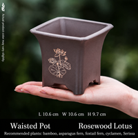 Pot de fleurs en résine pour jardin, style chinois minimaliste, avec plusieurs trous de drainage, pour orchidée de la baie rouge à feuilles fines