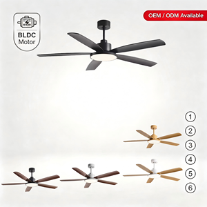 Ventilateur de plafond intérieur noir de 52 pouces avec lumière LED et télécommande, 5 pales, construction métallique, moteur DC silencieux, design moderne - Product Image 1