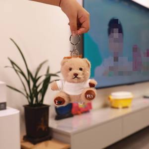 Portachiavi Personalizzato con Nome Orsacchiotto di Peluche Ciondolo per Zaino Giocattolo in Cotone PP Peluche Lavabile Regalo di Anniversario - Product Image 6