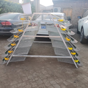Pas cher UN type galvanisé cage de caille d'équipement animal ferme <span class=keywords><strong>maison</strong></span> bâtiment à vendre - Product Image 2