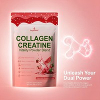 Créatine+ Multi Collagène de Haute Qualité pour Hommes et Femmes Sans Sucre Absorption Supérieure Favorise la Masse Musculaire Maigre et la Force 285g OEM/ODM
