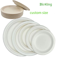 BioKing 100% Naturel Jetable Canne à Sucre Bagasse Restaurant Alimentaire Assiette de Service Pâte de Canne à Sucre Blanche Conteneur Alimentaire Plateau Fête DDP USA/Amérique