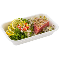 SUMKOKA Plateaux rectangulaires profonds robustes, durables, écologiques, biodégradables, en bagasse de canne à sucre, avec couvercle