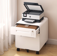 Meuble de rangement roulant à 2 tiroirs en acier, verrouillable, pour sous le bureau, idéal pour l'organisation à domicile et au bureau