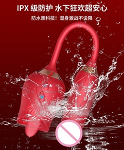新款 2 合 1 USB 充电器 花朵红玫瑰性玩具假阳具振动器接吻 G 点阴蒂乳头刺激器女性用 - Product Image 3