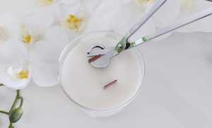 Kit Grande para Hacer Velas con Cera de Soja y Flores Secas, Kit de Velas DIY, Kit de Manualidades <span class=keywords><strong>Hazlo</strong></span> Tú <span class=keywords><strong>Mismo</strong></span> - Product Image 6