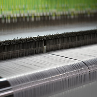 Galileo Rapier Loom Machine à étiquettes tissée à haute productivité 600 RPM