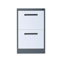 Muebles de Oficina, Archivador de Acero con 2 Cajones, Archivador Vertical de Metal para Documentos