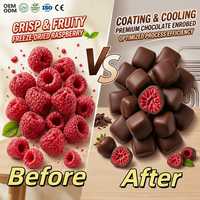 Équipement CE entièrement automatique en SUS304 pour l'enrobage de chocolat pour la production de snacks aux framboises séchées avec option OEM