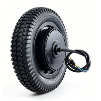Moteur sans balais à montage latéral ANGYANG L300 pour extérieur 24V/36V/48V 500W/800W/1200W, pneu en alliage d'aluminium de 12 pouces de type split, 2000W de pointe, 100N.m