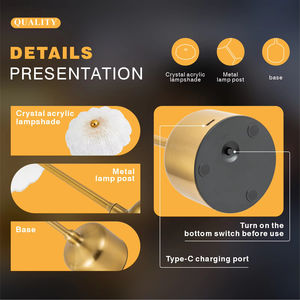 त्रिकोमेटिक डिमिंग आई-केयर टच कंट्रोल ने लिविंग रूम की सजावट के लिए कॉर्लेस टेबल लैंप बैटरी-संचालित बेडसाइड लैंप - Product Image 6