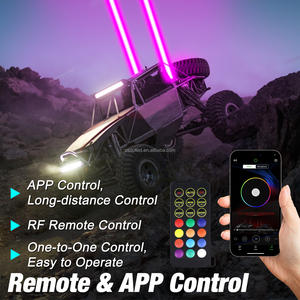 Цветная антенна RGB + W - Product Image 4