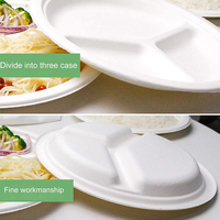 Assiette de canne à sucre jetable, assiette de Pizza, assiette ronde écologique