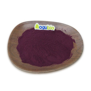 Extracto de Piel de Uva al por Mayor de Alta Calidad, 30% Polifenoles, Vitamina <span class=keywords><strong>C</strong></span>, Envasado al Vacío en Tambor, 100% Puro, Natural, Orgánico, Grado Alimenticio - Product Image 3