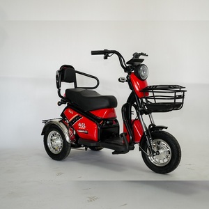 Modelo Buding, Bicicleta Eléctrica de Pasajeros de 600 W y 48 V, Triciclo de 3 Ruedas con Carrocería Abierta, Venta Directa de Fábrica al Por Mayor, Mejor Precio - Product Image 4