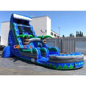 Nouvelle conception, très vendue, location, activités de divertissement, toboggan aquatique commercial pour adultes, toboggan <span class=keywords><strong>gonflable</strong></span> avec piscine à jets d'eau - Product Image 2
