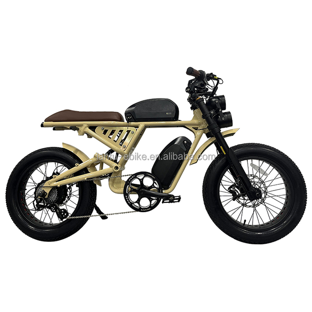 2000w Motorcycle Style Fat Bike Enduro Electric Bike for Men