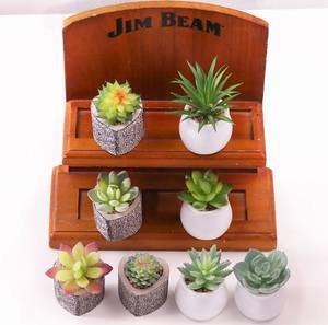 ขายส่งต้นลิทอปส์ขนาดเล็ก ต้นไม้ประดับตกแต่งในกระถาง ต้นไม้จำพวกไม้อวบน้ำหายาก - Product Image 5