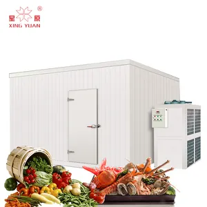 10 ton cool rooms and freezer room for slaughterhouse meat fruit and veget cold storage supplier