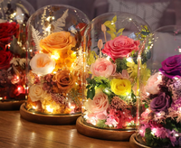 Cloche en verre transparente avec base, vitrine pour artisanat, plantes, lumières, succulentes, médailles, centre de table