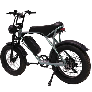 Vélo de <span class=keywords><strong>route</strong></span> électrique haute puissance 48V 300/<span class=keywords><strong>500</strong></span>/1000 Watt, VTT à pneus larges de 20 pouces, VTT - Product Image 5