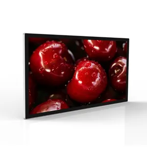 LCD kỹ thuật số biển quảng cáo Ba lô LCD quảng cáo video media player
