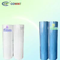 Cowint protection serre plastique stratification a3 a4 film dtf sensible aux uv pour autocollant de voiture de téléphone