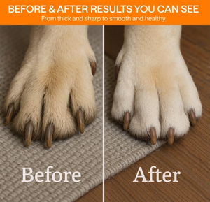 Smerigliatrice per Unghie per Animali Domestici Ricaricabile OEM, <span class=keywords><strong>Best</strong></span> Seller su Piattaforme USA, Fino a 6 Velocità, 360° °   Luce LED per Gatti di Taglia Media e Piccola, Silenziosa - Product Image 3