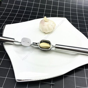 Presse-ail manuel en acier inoxydable imitation C303 pour cuisine, presse-légumes et gingembre, hachoir à main - Product Image 3