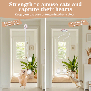 Jouet pour <span class=keywords><strong>chat</strong></span> suspendu automatique rechargeable, interactif, pour chats d'intérieur, avec corde élastique et balle en peluche - Product Image 4