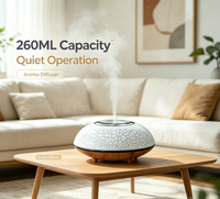 Diffuseur d'arômes en céramique craquelée 260 ml, humidificateur ultrasonique avec veilleuse LED douce, fonctionnement silencieux pour la maison, le bureau et la chambre